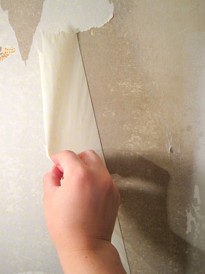 Texas Bookkeepers Wallpaper Removal Houston